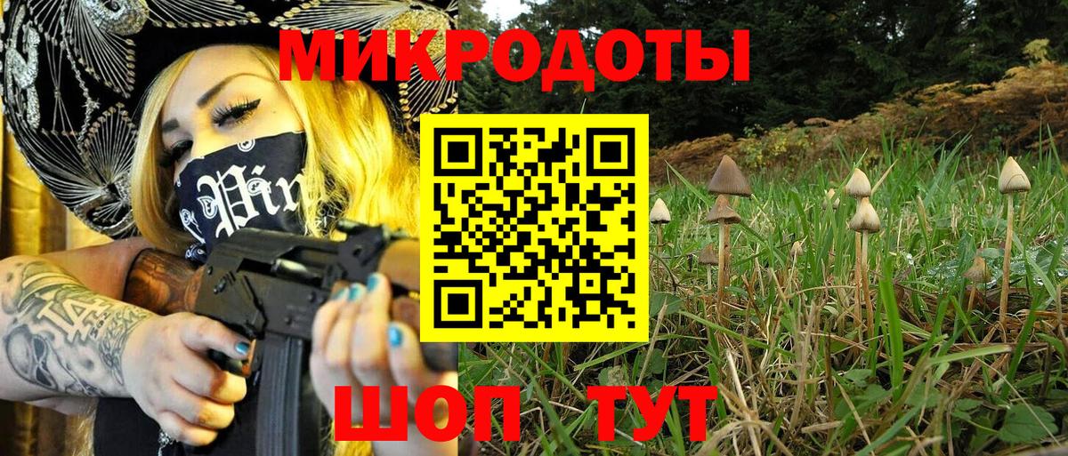Псилоцибиновые грибы Шатура