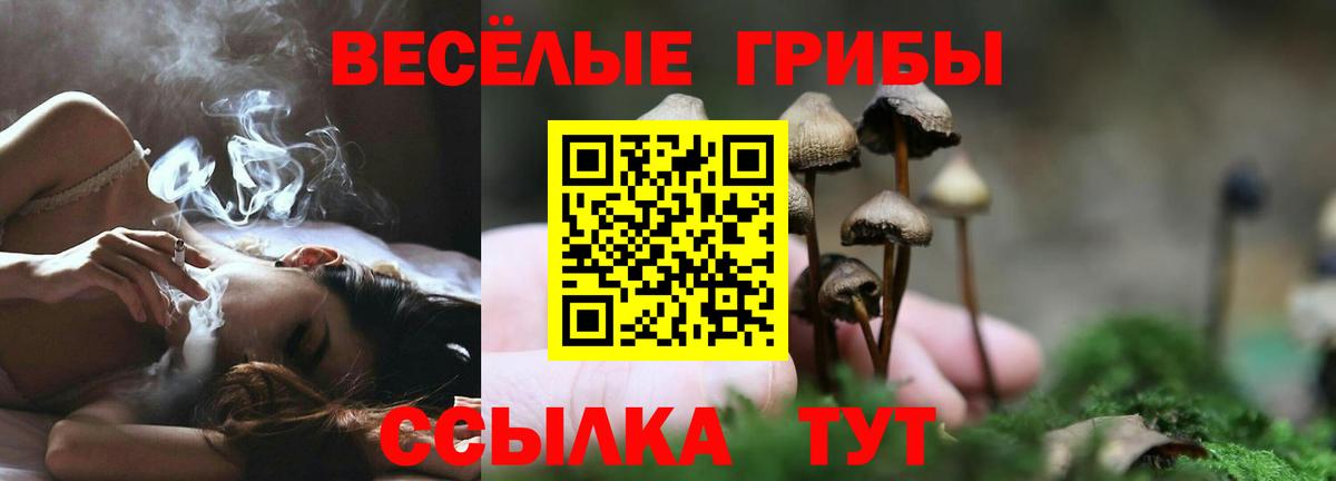 дарнет шоп  Вход с VPN  Шатура  Галлюциногенные грибы прущие грибы 
